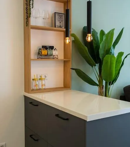 Apartment 1 Bedroom Flat Completely Renovated.